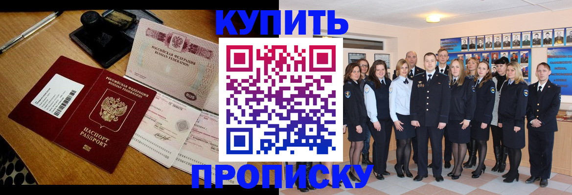 прописка 2025 в Кингисеппе